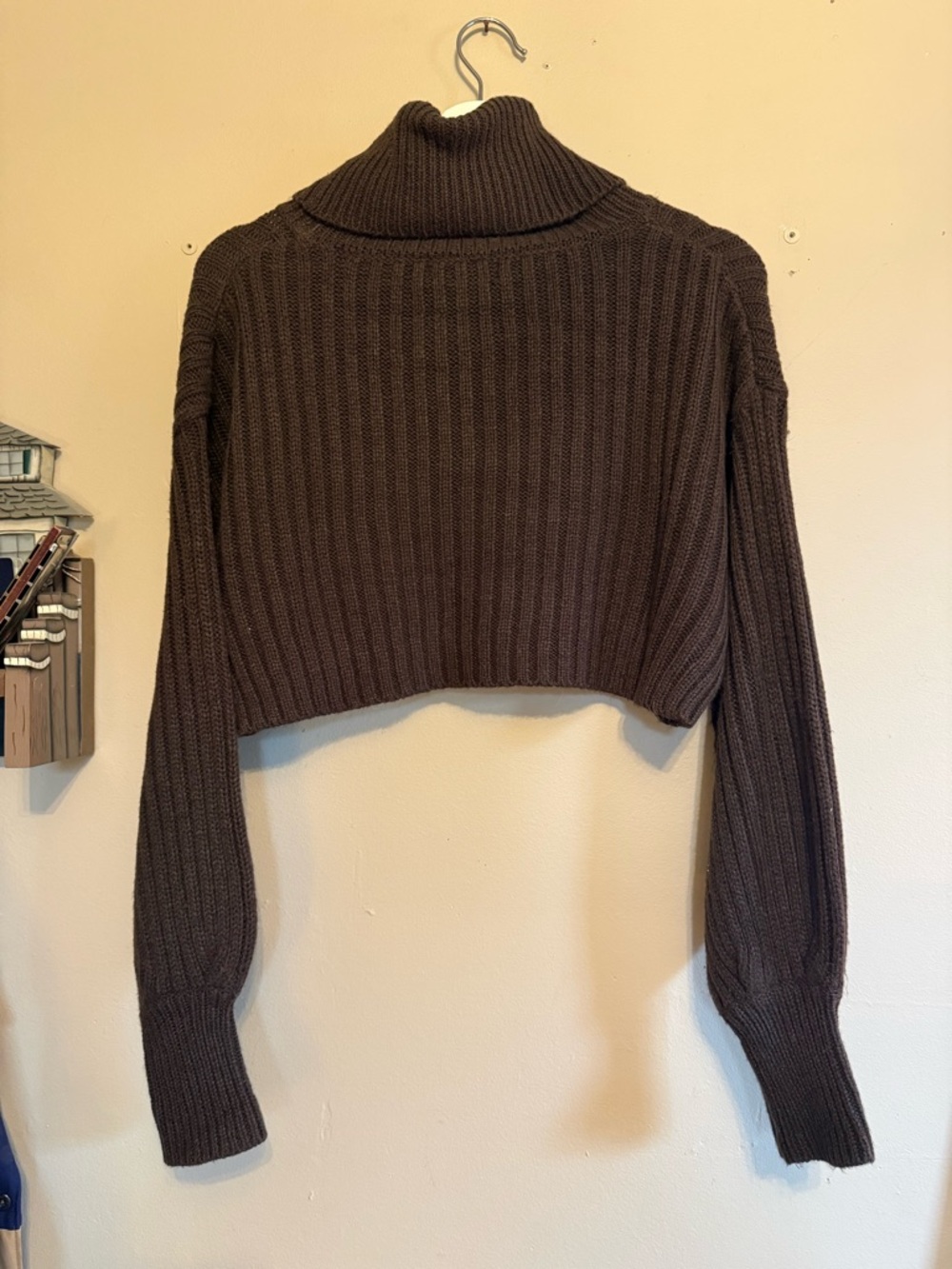Streetwear Society Cropped Ribbed Turtleneck Sweater - Brown
